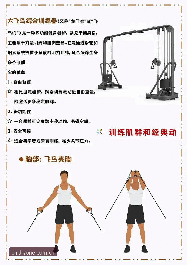 7个小鸟体育功能使用技巧,从新手到高手的进阶指南