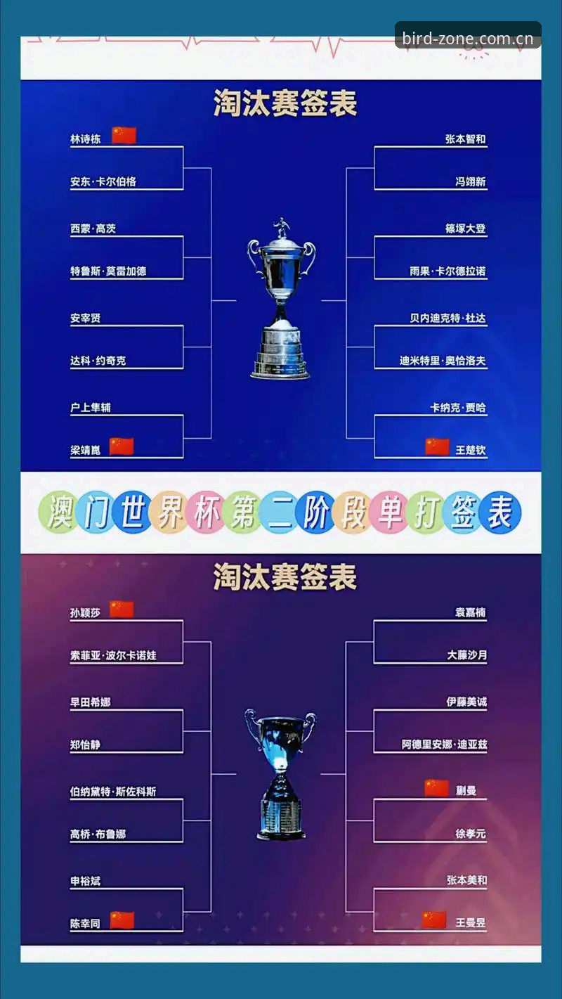 U17世界杯抽签揭晓，资深用户分享小鸟体育观赛备战全攻略